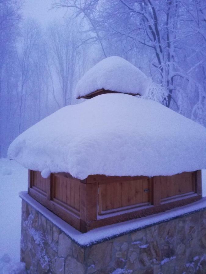 Chata Korenny Vrch Pezinska Baba 皮兹诺克 外观 照片